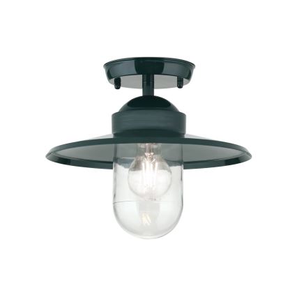 Hanglamp voor buiten EDWARD 1xE27/60W/230V IP44 groen