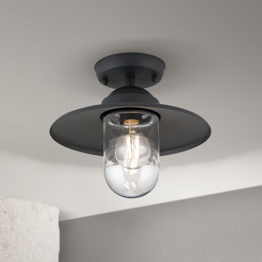 Hanglamp voor buiten EDWARD 1xE27/60W/230V IP44 zwart