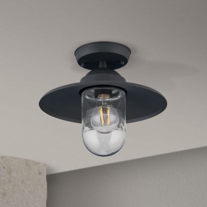 Hanglamp voor buiten EDWARD 1xE27/60W/230V IP44 zwart