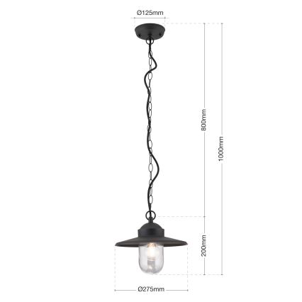 Buitenhanglamp EDWARD 1xE27/60W/230V IP44 antraciet