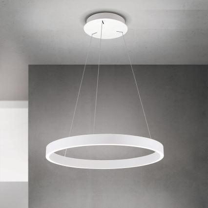 Orion - LED-dimbare hanglamp met kabel KOLK LED/60W/230V 2700/3000/4000K Ø 60 cm wit
