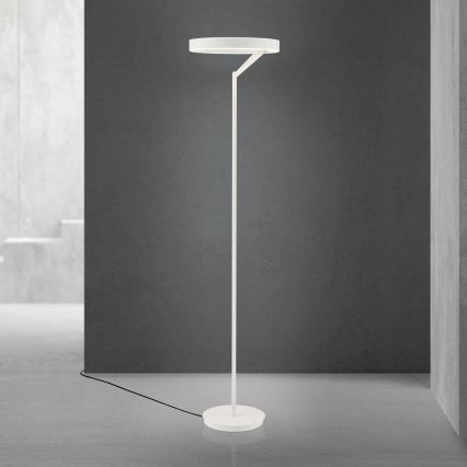 Dimbare LED-staande lamp KOLK LED/40W/230V 2700/4000K wit