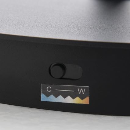 Dimbare LED-staande lamp KOLK LED/40W/230V 2700/4000K zwart