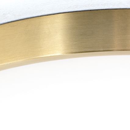 LED Plafondlamp BULLY LED/28W/230V diameter 28 cm goud