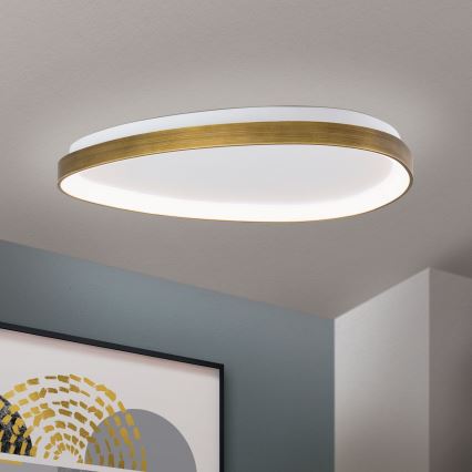 LED Plafondlamp CHARLIE LED/48W/230V diameter 65 cm goud