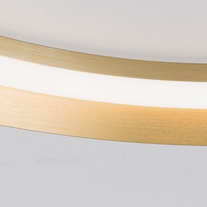 Dimbare LED Plafondlamp MANTA LED/38W/230V 2700/3000/4000K diameter 45 cm goud