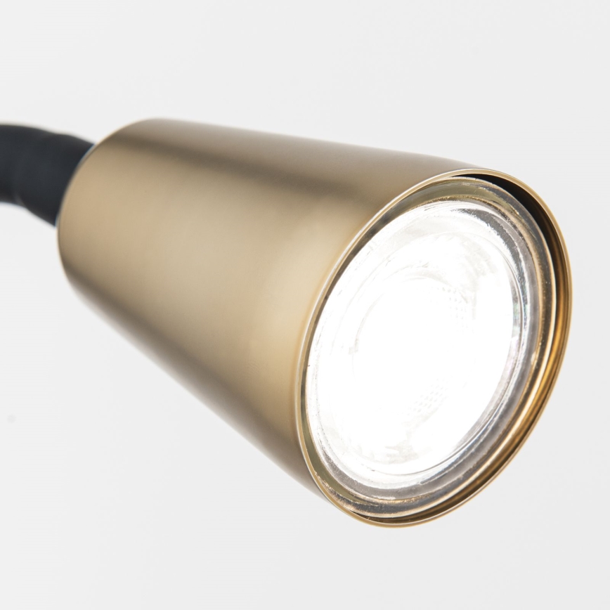 Flexibele tafellamp met klem DOTTY 1xGU10/10W/230V messing/zwart