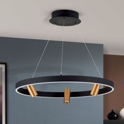 LED Dimbare hanglamp aan kabel BERLIN LED/50W/230V zwart/goud