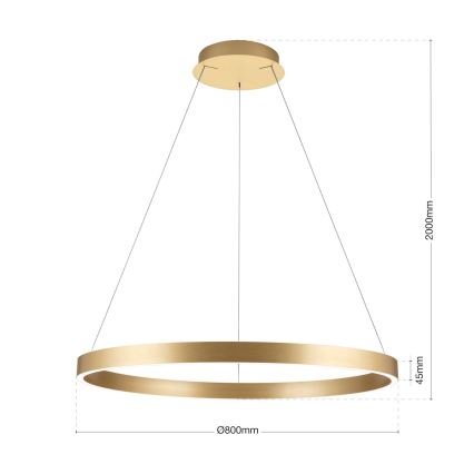 Orion - dimbare LED-kroonluchter met kabelophanging KOLK LED/80W/230V 2700/3000/4000K Ø 80 cm goudkleurig