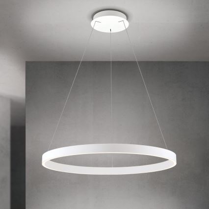 dimbare LED-hanglamp aan een kabel KOLK LED/80W/230V 2700/3000/4000K Ø 80 cm wit