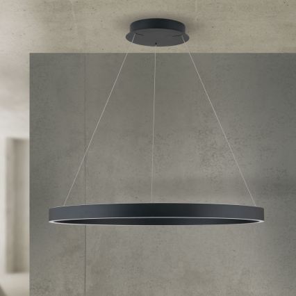 Orion - LED-dimbare hanglamp met kabelophanging KOLK LED/80W/230V 2700/3000/4000K Ø 80 cm zwart