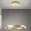 Orion - LED dimbare pendellamp aan kabel KOLK LED/60W/230V 2700/3000/4000K Ø 60 cm goud