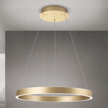 Orion - LED dimbare pendellamp aan kabel KOLK LED/60W/230V 2700/3000/4000K Ø 60 cm goud