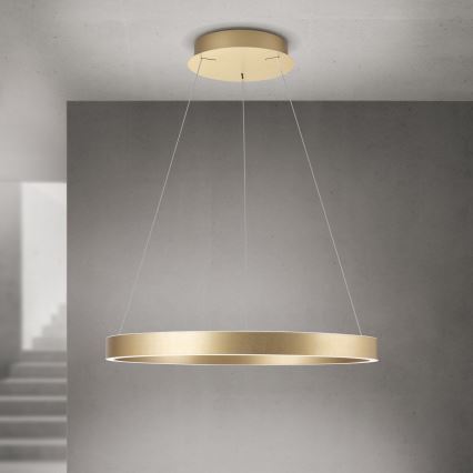 Orion - LED dimbare pendellamp aan kabel KOLK LED/60W/230V 2700/3000/4000K Ø 60 cm goud
