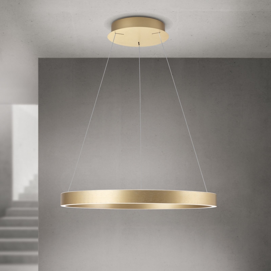 Orion - LED dimbare pendellamp aan kabel KOLK LED/60W/230V 2700/3000/4000K Ø 60 cm goud