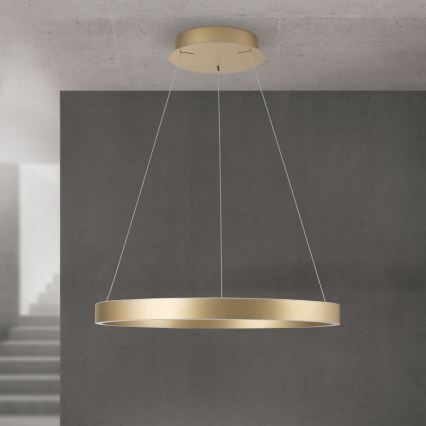 Orion - LED dimbare pendellamp aan kabel KOLK LED/60W/230V 2700/3000/4000K Ø 60 cm goud