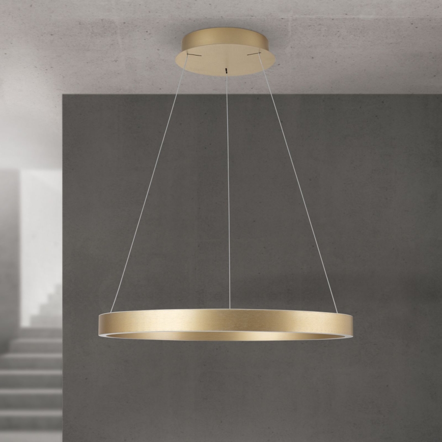 Orion - LED dimbare pendellamp aan kabel KOLK LED/60W/230V 2700/3000/4000K Ø 60 cm goud