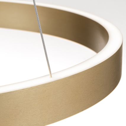 Orion - LED dimbare pendellamp aan kabel KOLK LED/60W/230V 2700/3000/4000K Ø 60 cm goud