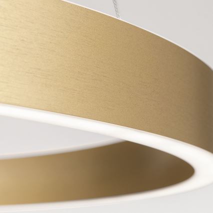 Orion - LED dimbare pendellamp aan kabel KOLK LED/60W/230V 2700/3000/4000K Ø 60 cm goud