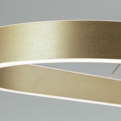 LED-kroonluchter aan kabel CARRARA LED/80W/230V 2700/3000/4000K goud