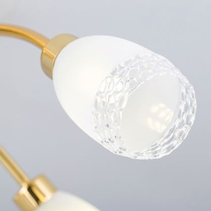 Opbouwkroonluchter CARLA 5xG9/28W/230V goudkleurig