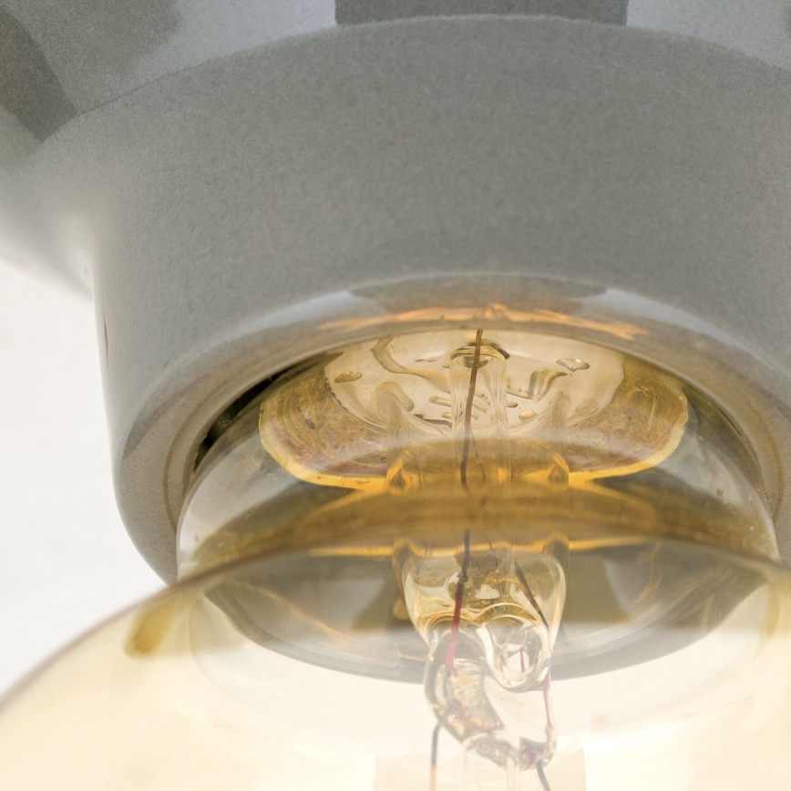 Plafondlamp FROST 1xE27/60W/230V grijs