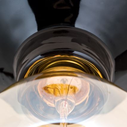 Plafondlamp FROST 1xE27/60W/230V zwart