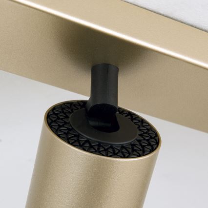 Orion - SEAN plafondspot 6xGU10/13W/230V, goud