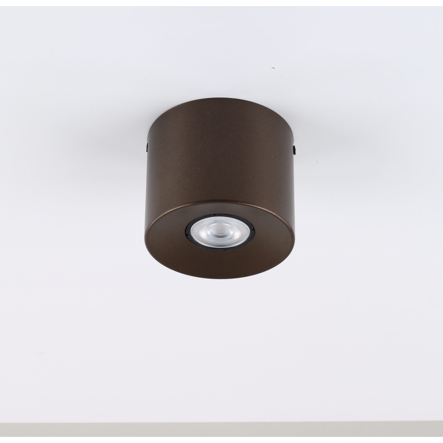 ORION spot 1xGU10/10W/230V 9 cm bruin