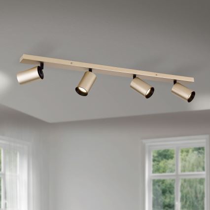 Spotlamp SEAN 4xGU10/13W/230V goudkleurig
