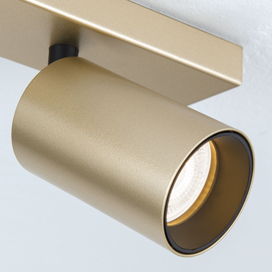 Spotlamp SEAN 4xGU10/13W/230V goudkleurig