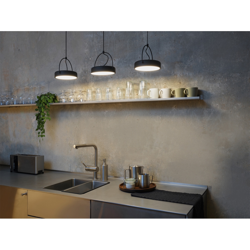 Osram - DECOR PUCK LED-hanglamp met kabelophanging 3xLED/12W/230V CRI 90 zwart