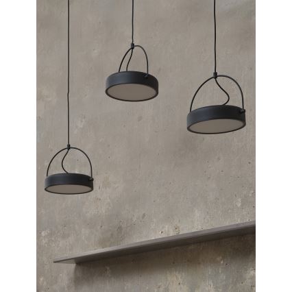Osram - DECOR PUCK LED-hanglamp met kabelophanging 3xLED/12W/230V CRI 90 zwart