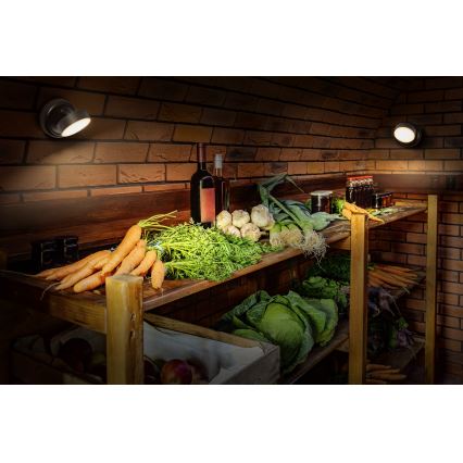 Osram - LED-dimbare oplaadbare wandlamp met aanraakbediening NIGHTLUX LED/1,8W/5V zwart