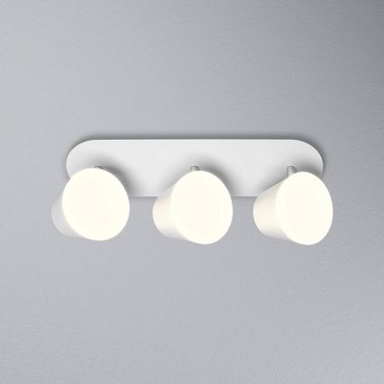 Osram - LED-badkamerspot SPOT 3xLED/7W/230V IP44 3000/4000K