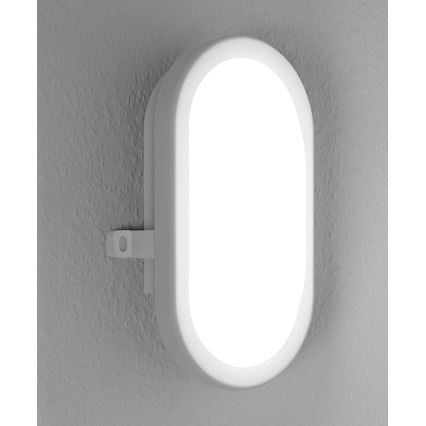 Osram - LED buitenwandlamp BULKHEAD LED/11W/230V IP54 wit