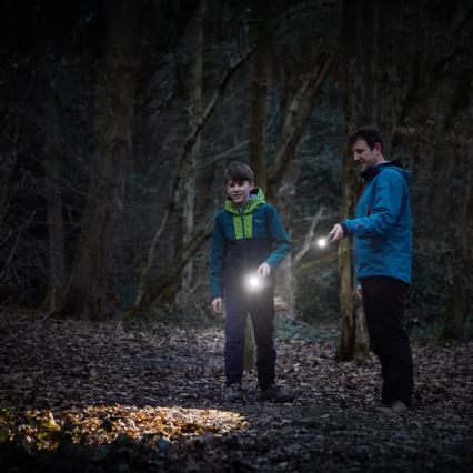 Osram - Dimbare LED-zaklamp LEDINSPECT TORCH 450 ESSENTIAL LED/6W/3xAAA IP44