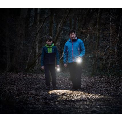 Osram - Dimbare LED-zaklamp LEDINSPECT TORCH 450 ESSENTIAL LED/6W/3xAAA IP44