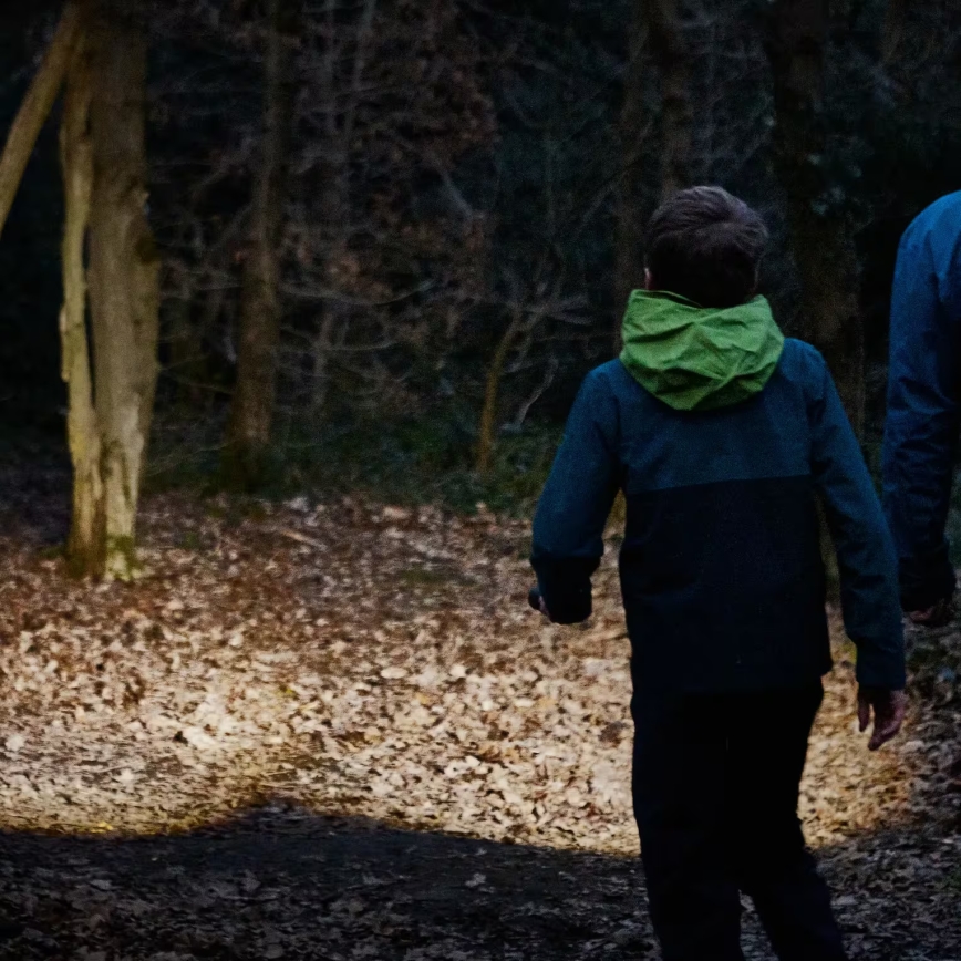 Osram - Dimbare LED-zaklamp LEDINSPECT TORCH 450 ESSENTIAL LED/6W/3xAAA IP44