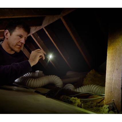 Osram - Dimbare LED-zaklamp LEDINSPECT TORCH 250 ESSENTIAL LED/2W/2xAAA IP44