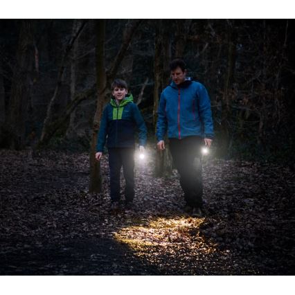 Osram - Dimbare LED-zaklamp LEDINSPECT TORCH 350 ESSENTIAL LED/4W/2xAAA IP44