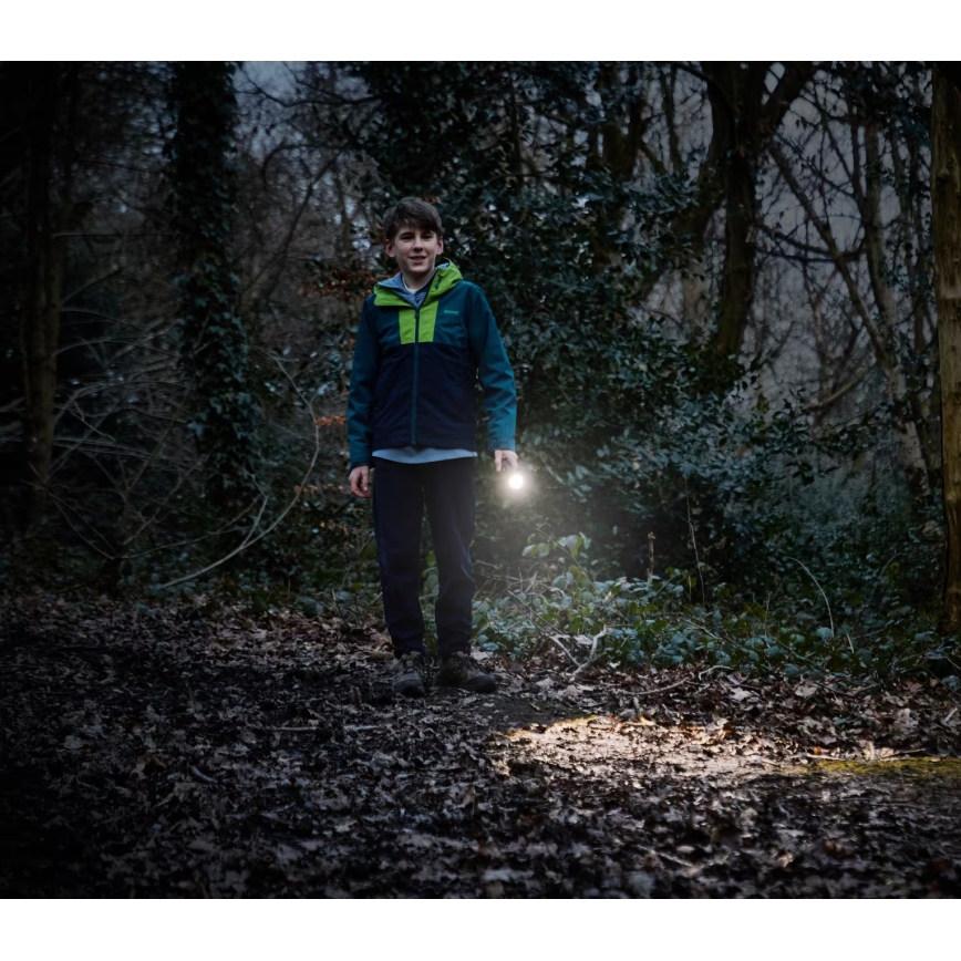 Osram - Dimbare LED-zaklamp LEDINSPECT TORCH 350 ESSENTIAL LED/4W/2xAAA IP44