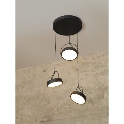 Osram - LED hanglamp met kabel DECOR PUCK 3xLED/12W/230V CRI 90 zwart
