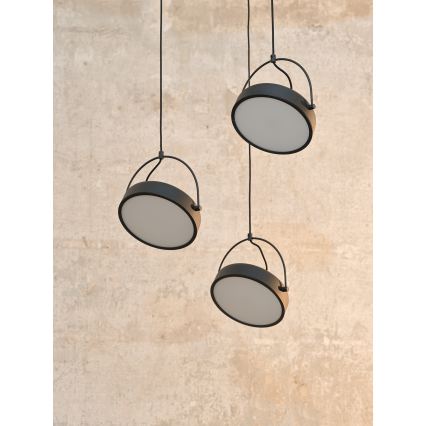 Osram - LED hanglamp met kabel DECOR PUCK 3xLED/12W/230V CRI 90 zwart
