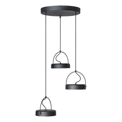 Osram - LED hanglamp met kabel DECOR PUCK 3xLED/12W/230V CRI 90 zwart