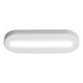 Osram - LED oriëntatielamp met bewegingssensor MOBILE LED/0,5W/3,7V 330 mAh CRI 90 wit