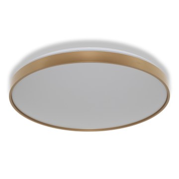 Osram - LED plafondlamp CEILING LUXO LED/60W/230V Ø 56 cm goudkleurig