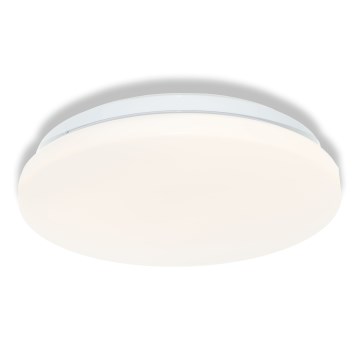 Osram - LED plafondlamp voor badkamer CEILING ROUND LED/12W/230V 6500K Ø 26 cm IP44 wit