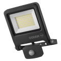 Osram - LED-schijnwerper met sensor ENDURA LED/50W/230V 4000K IP44