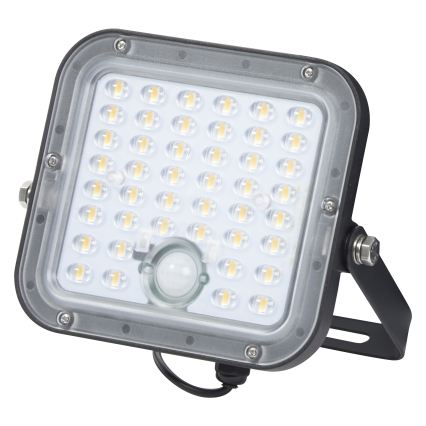 Osram - Dimbare LED-zonne-schijnwerper met sensor ENDURA LED/10W/4,2V 4000K IP65 zwart + afstandsbediening
